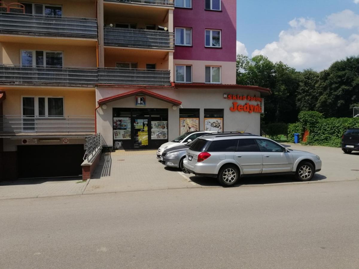 Apartament Witkiewicza サノク エクステリア 写真