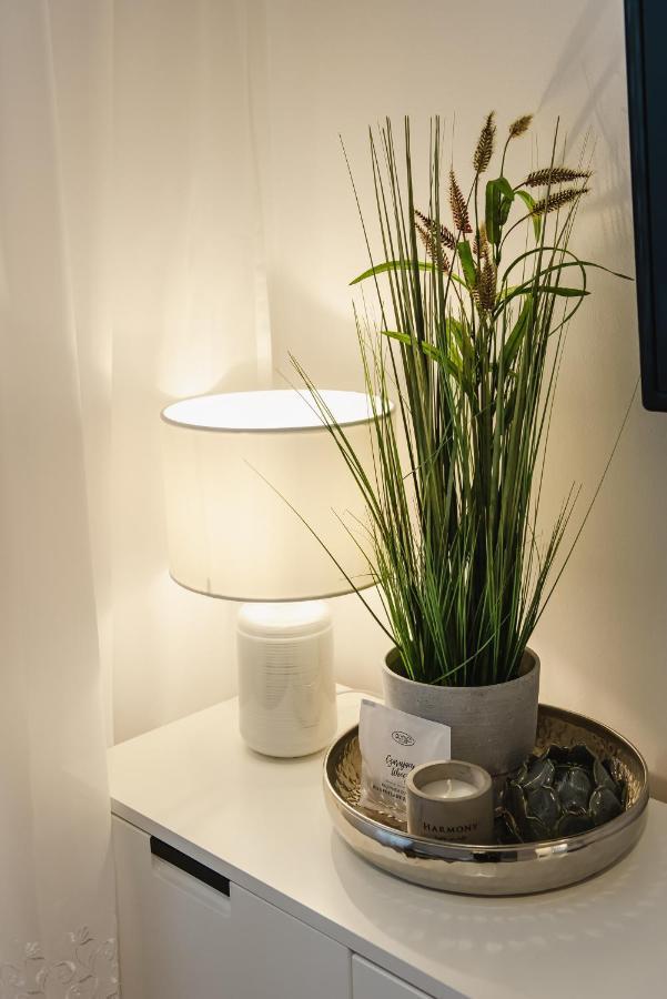 Apartament Witkiewicza サノク エクステリア 写真